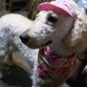 Meet your Posher, Debbie